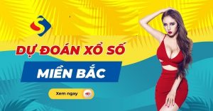 Dự đoán xổ số 12/11